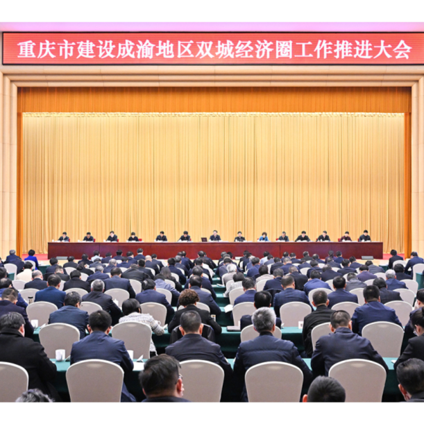 唱好“双城记” 打造增长极 推动双城经济圈建设取得重大标志性成果