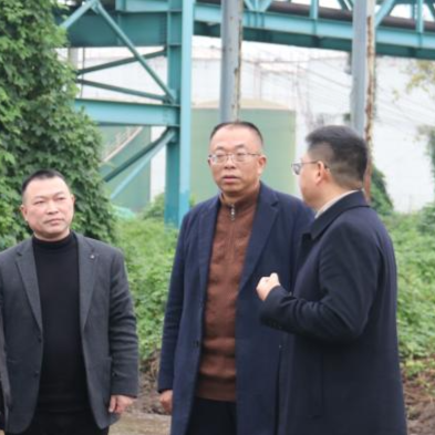 刘世斌一行到江津港调研指导工作